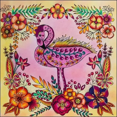 Lequel de ces oiseaux n'est pas un échassier ?