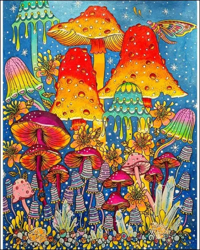 Quel champignon est appelé amanite des Césars ?