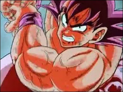 Quelle technique de Vegeta n'a pas résisté au Kamé Hamé Ha Kaiôken x 4 de Goku ?