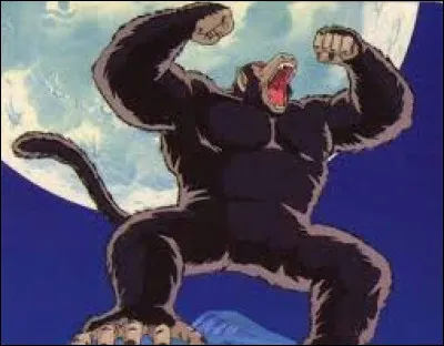 Pourquoi Gohan se transforme en Oozaru pendant son entraînement ?