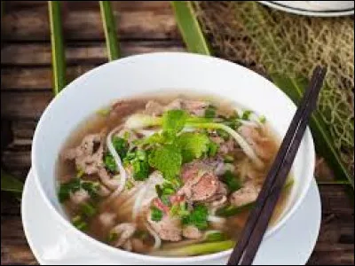 Quel pays asiatique a comme spécialité culinaire la délicieuse soupe phô ?