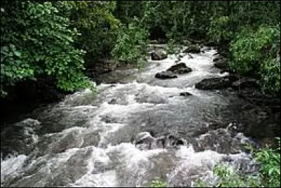 Je laisse mon imagination suivre le sien.