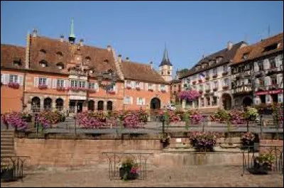 En quatre lettres, cette ville alsacienne appuyée sur les contreforts des Vosges, au pied du mont Sainte-Odile, l'une des capitales viticoles de la région avec sa plus ancienne foire aux vins d'Alsace : la voyelle est un ...