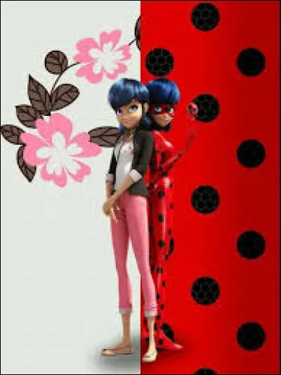 Quel âge a Marinette ?