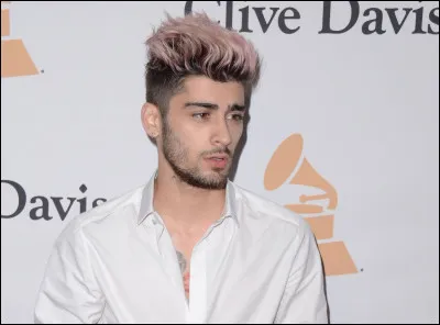 Quel est le nom complet de Zayn ?