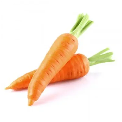 D'après leur "Video Diary", qui adore les carottes ?