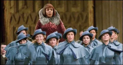 Qui participe au tournoi des Trois Sorciers à Beauxbâtons ?