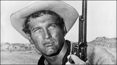 Après "les feux de l'été" sorti la même année 1958, Paul Newman, tient son premier grand rôle dans ce film d'Arthur Penn :