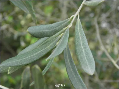 Quelle est leur place ?