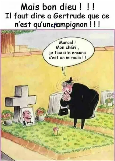 Une citation frappée du bon sens : Les femmes vivent plus longtemps que les hommes surtout quand elles sont veuves !