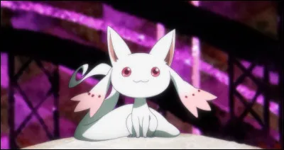 Et enfin, quel sera le vu de Madoka dans le dernier épisode ?