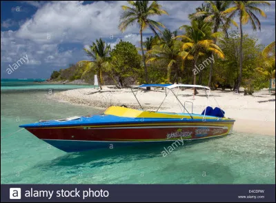 Que leur arrive-t-il sur l'&icirc;le ?