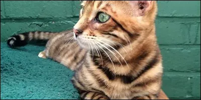 Question nouveauté...