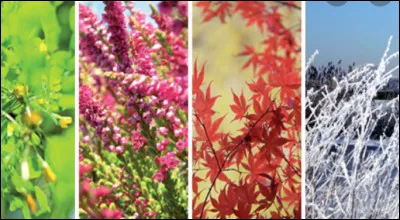 Quelle est ta saison préférée ?