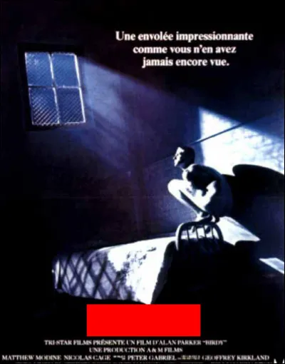 Quel est ce film ?