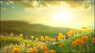 À quel moment de la journée te rends-tu dans une fête publique ?