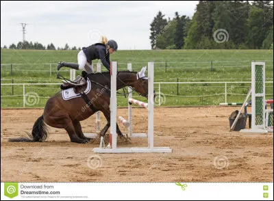 Un cheval refuse de faire quelque chose, quelle est l'attitude à avoir ?