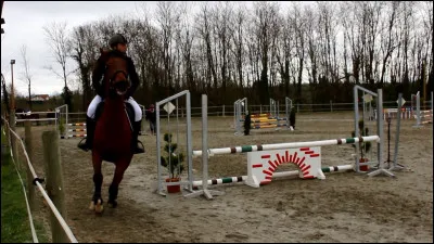 Dans un concours club 3, combien y a-t-il d'obstacles ?