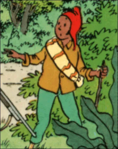 Qui est ce héros de BD ?