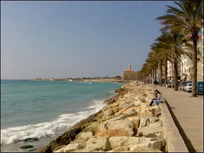 En trois lettres, ville du sud du Liban, cité phénicienne antique : la voyelle est un ...