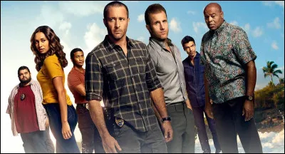 Le service "police judiciaire" se composent principalement de policiers en civile. Ils mènent tous types d'enquêtes, comme dans la série " Hawaii 5-0 ". Citez les personnages illustrées ci-dessus.