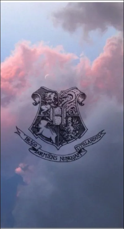 De quoi était persuadé Sirius quand il était jeune ?