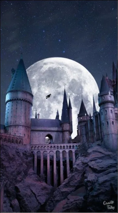 À quel âge les Maraudeurs ont-ils découvert le secret de Remus ?