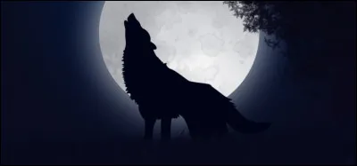 Qu'ont-ils créé ensemble ?