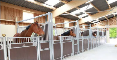 Une poulinière est une écurie spéciale pour les poulains.