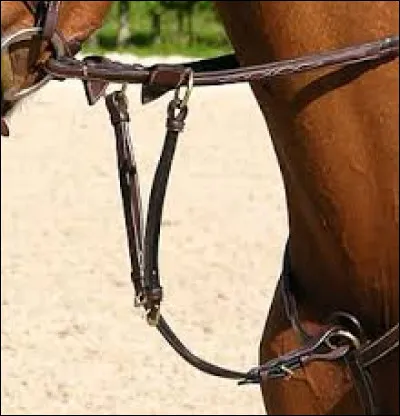 La martingale est principalement utilisée pour le saut d'obstacles.