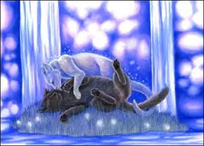 Combien de chatons Rivière d'Argent et son compagnon ont-ils alors ?