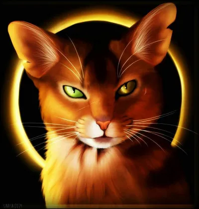 Lors du baptême de chef d'Étoile de Feu, quelle vie Rivière d'Argent lui donnera-t-elle ?