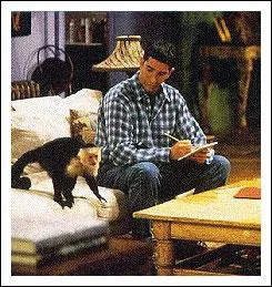 Comment s'appelait le singe de Ross ?