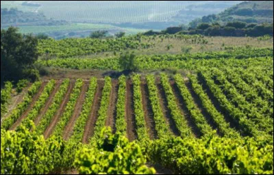 Quel vin est très réputé en Espagne ?