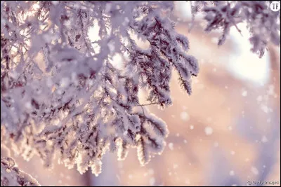 Comment dit-on "hiver" en allemand ?