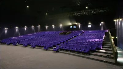 L'île dispose de cinémas, de discothèques, de restaurants, d'hôtels... Vrai ou faux ?