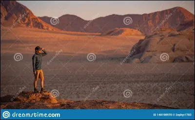 En quelle année a eu lieu le premier Paris-Dakar ?