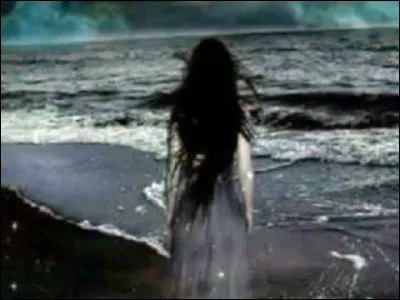 Qui, parmi ces trois artistes, n'a pas repris l'adaptation française de sa chanson "Suzanne" ?