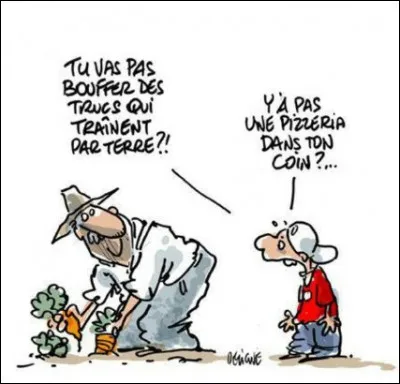 Quand doit-on planter l'ail ?