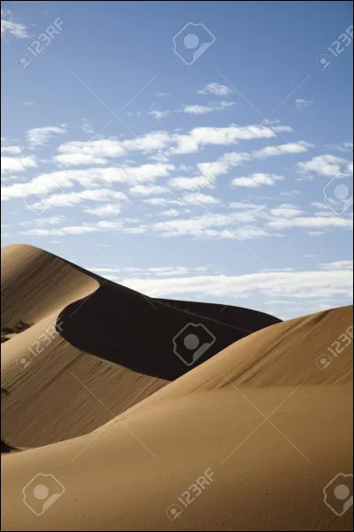 Quel est l'antidote au venin des Ailes de Sable ?