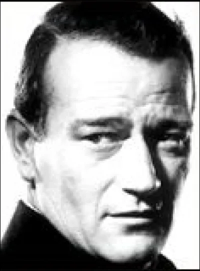Dans quel genre a-t-on le plus vu John Wayne ?
