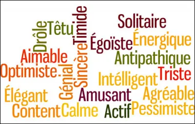 Quel est ton caractère (selon toi) entre ces quatre choix ?