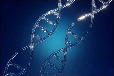 Quel est ton élément préféré ?