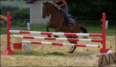 Quel est cet obstacle ?