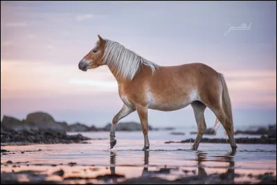 Je te dis "SF", tu vas me dire...
