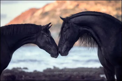 Je te dis "MN", tu vas me dire...