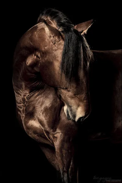 Je te dis "PG", tu vas me dire...