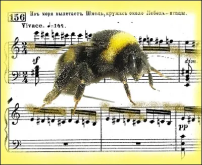 Quel compositeur a écrit l'interlude orchestral ''Le Vol du bourdon'' ?