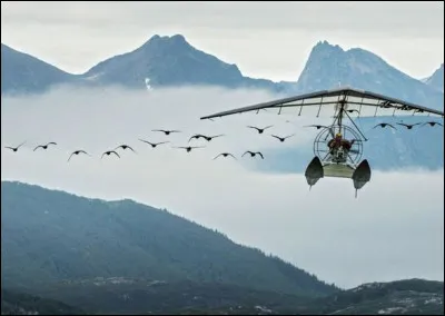 Qui est le réalisateur du film d'aventures ''Donne-moi des ailes'' inspiré par l'histoire de Christian Moullec, l'homme qui a volé avec les oies ?