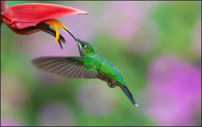 J'ai vécu un moment pénible, avec un ami nous avons eu ...